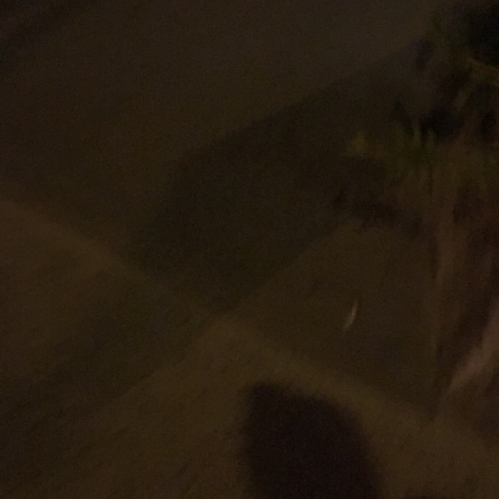 Meet your Posher, Dino